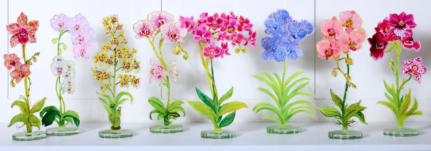 Kimberly Hodges Design