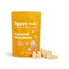 Wax Melt Bears-Happy Wax