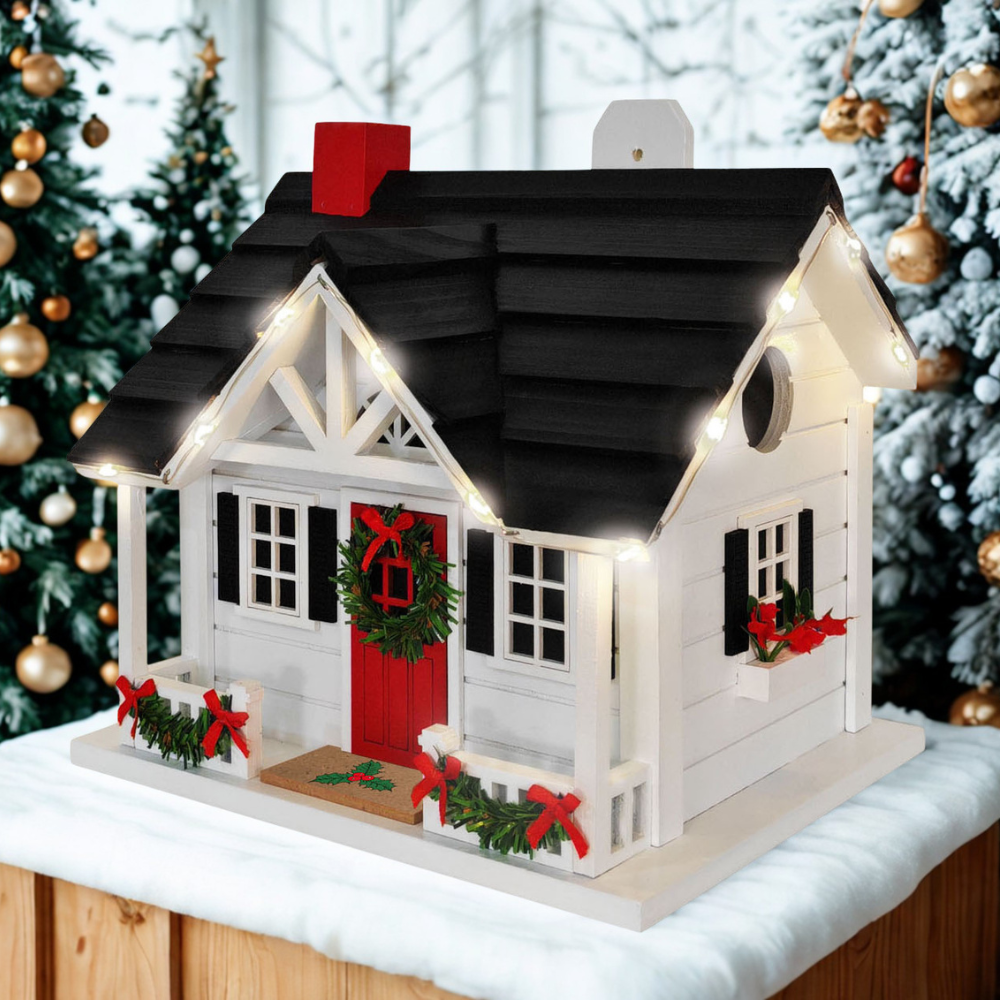 Birdhouse Caroler's Cape House w/LED Lights