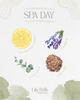 Spa Day/Lemon Lavender Eucalyptus Simmer Potpourri