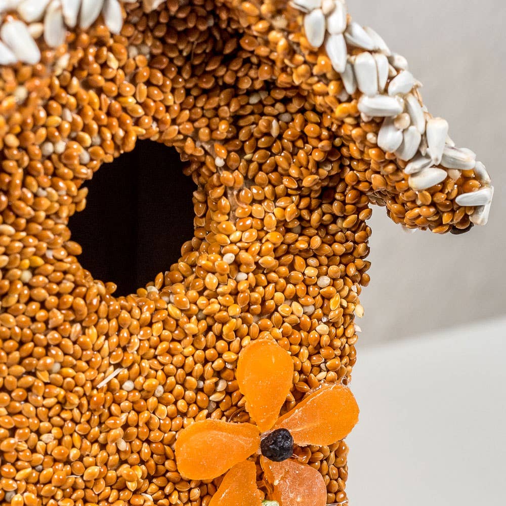 Fruit Cottage Bird House