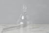 Glass Teardrop Cloche