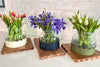 2-in-1 Scalloped Bloom Vase