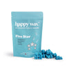 Wax Melt Bears-Happy Wax