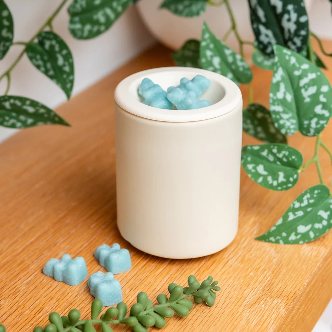 Mini Mod Wax Warmer-Happy Wax