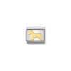 Nomination Links - Animals