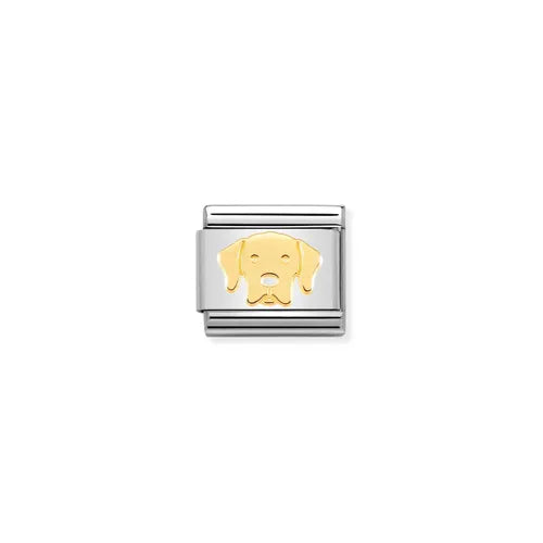 Nomination Links - Animals