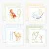 Baby Milestone Cards