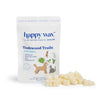 Wax Melt Bears-Happy Wax