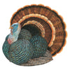 Heritage Turkey Placemat-Hester & Cook
